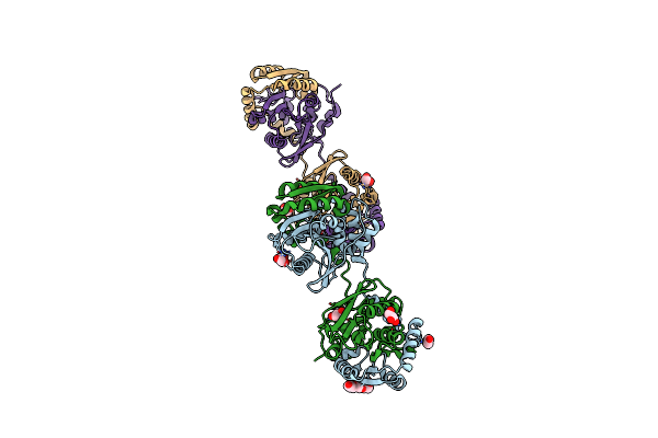 6XT8 image