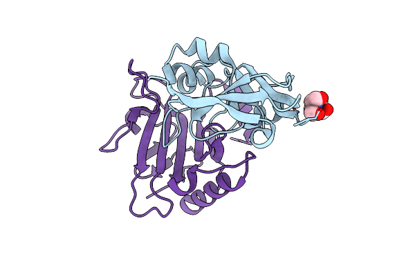 6XTD image