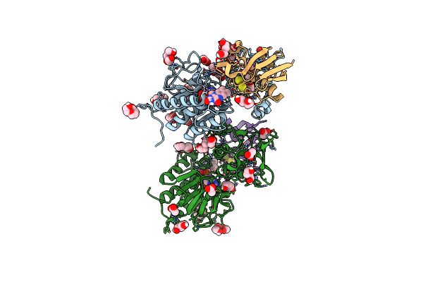6XTF image