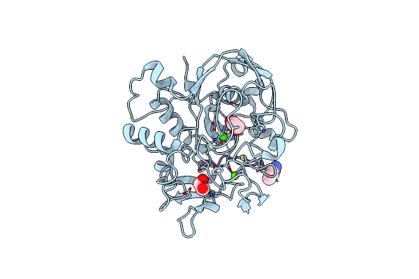 6XTL image