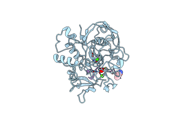 6XTM image