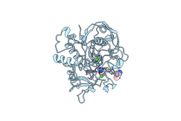 6XTO image