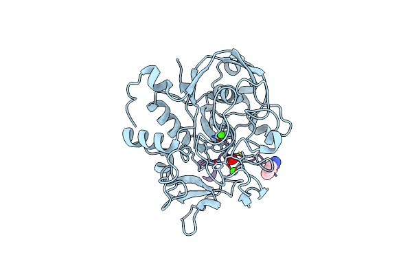 6XTP image