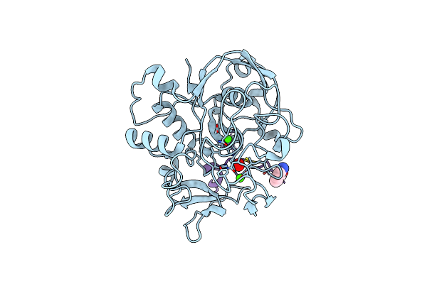 6XTR image