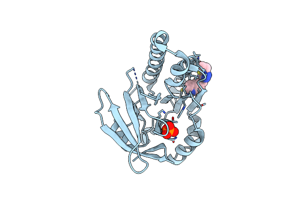 6XUF image