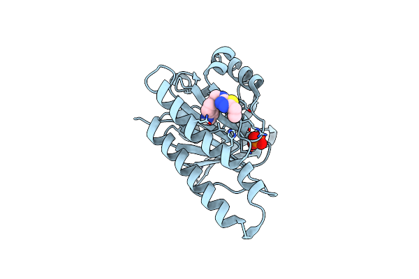 6XUJ image