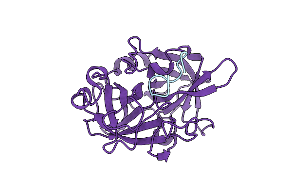 6XVD image