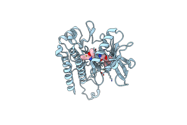 6XVK image