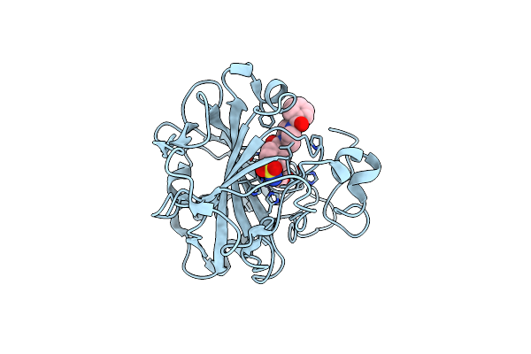 6XXT image