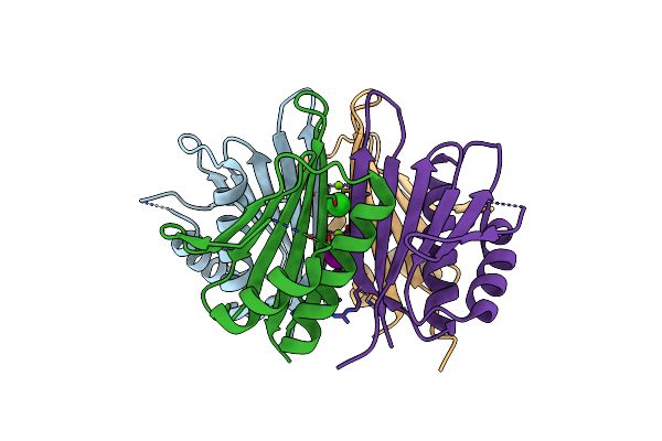6XYB image