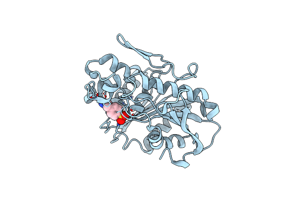 6XYC image
