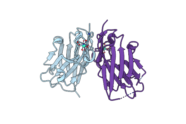 6XYM image