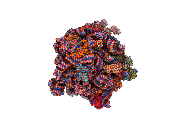 6XZB image