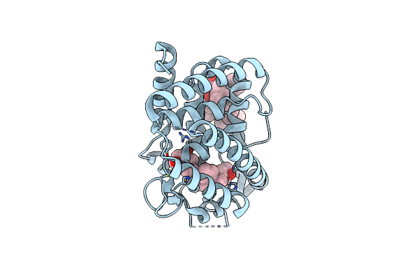 6XZV image