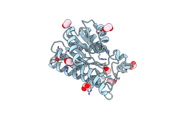 6Y10 image