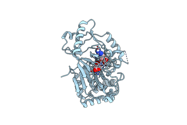 6Y12 image