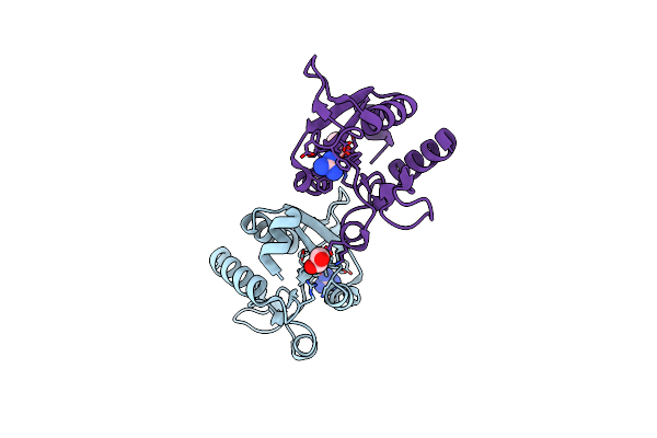 6Y16 image