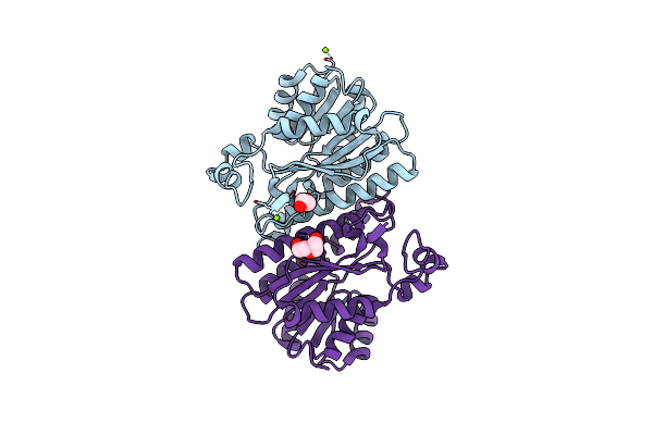 6Y1B image