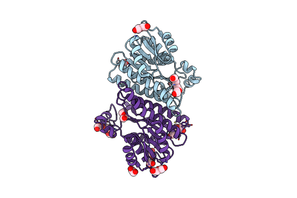6Y1C image