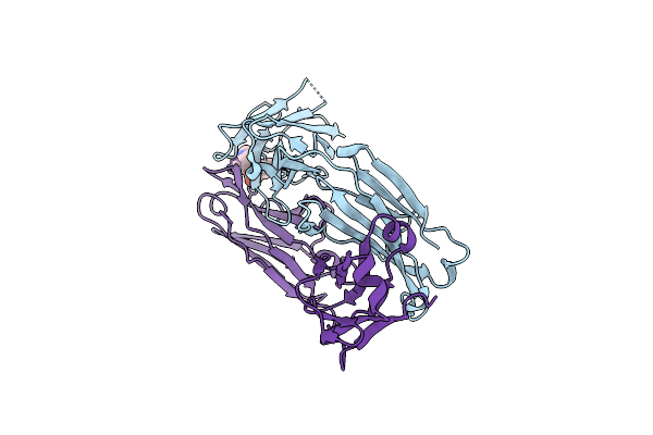 6Y1N image