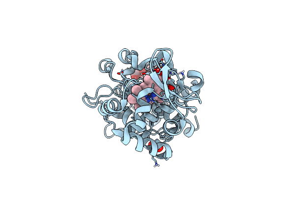 6Y1T image
