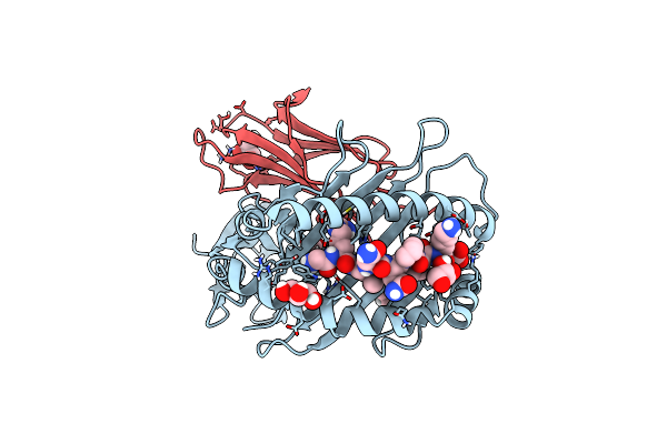 6Y2A image