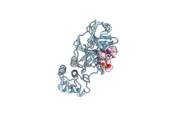 6Y2F image