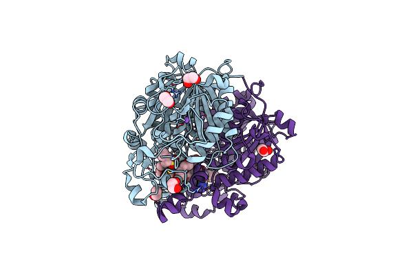 6Y2I image