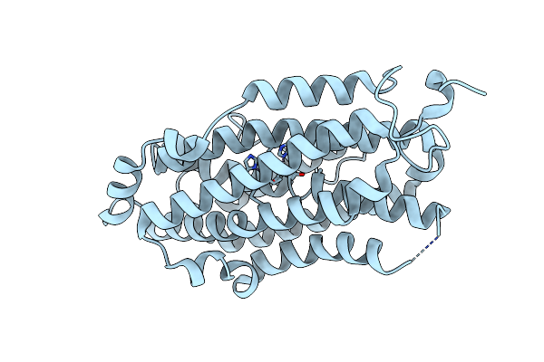 6Y2N image