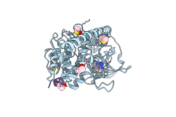 6Y2O image