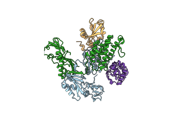 6Y2P image