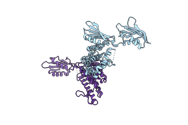 6Y2S image