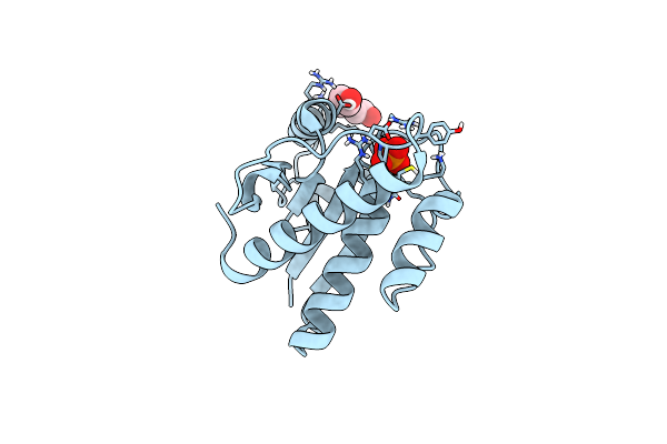 6Y2V image