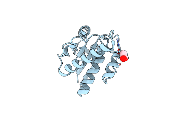 6Y2W image