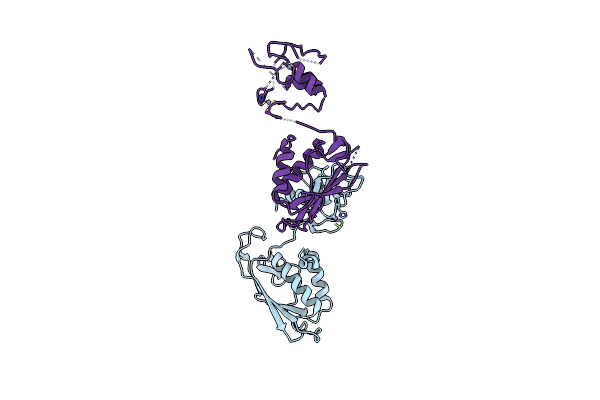6Y2X image