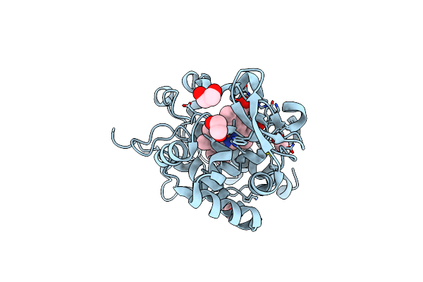 6Y2Y image