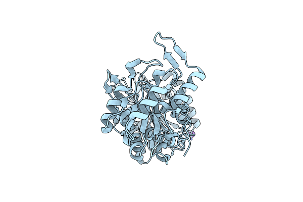 6Y3A image