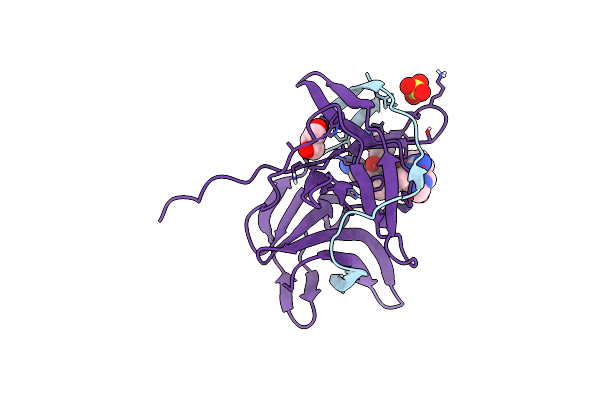 6Y3B image