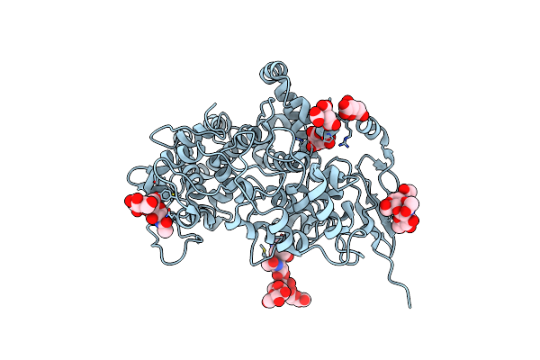 6Y3C image