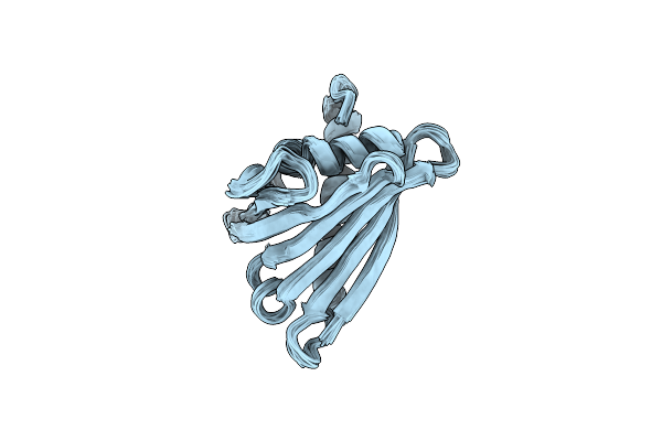 6Y3I image