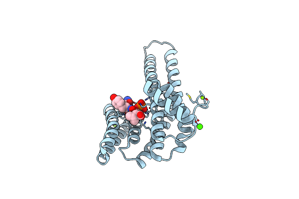 6Y3M image