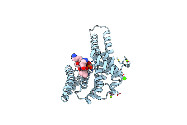 6Y3O image