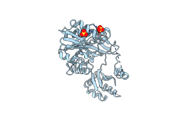 6Y3P image