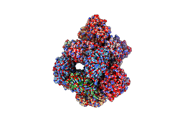 6Y41 image