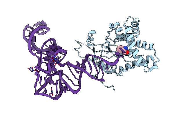 6Y4B image