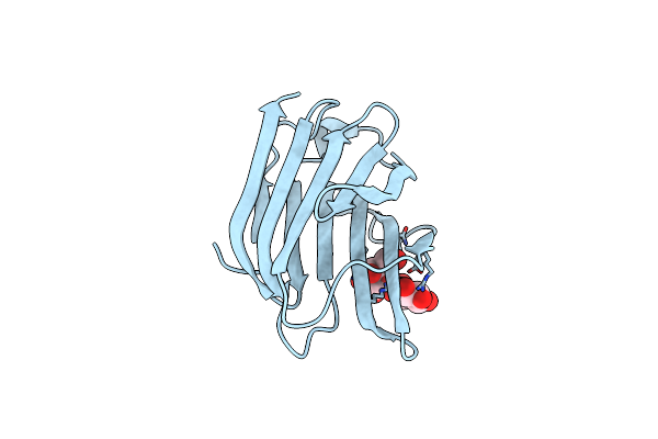 6Y4C image