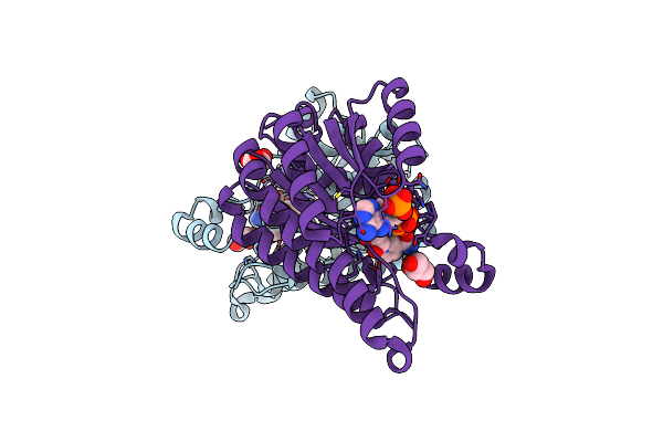 6Y4D image