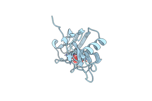 6Y4E image