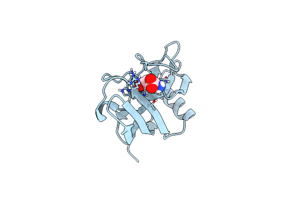 6Y4F image