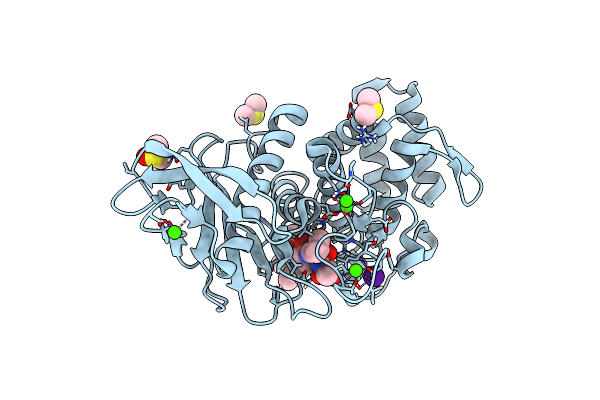 6Y4I image
